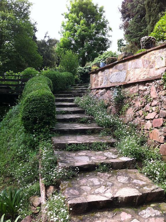 Masia El Moli De Can Aulet Arbucies Bagian luar foto