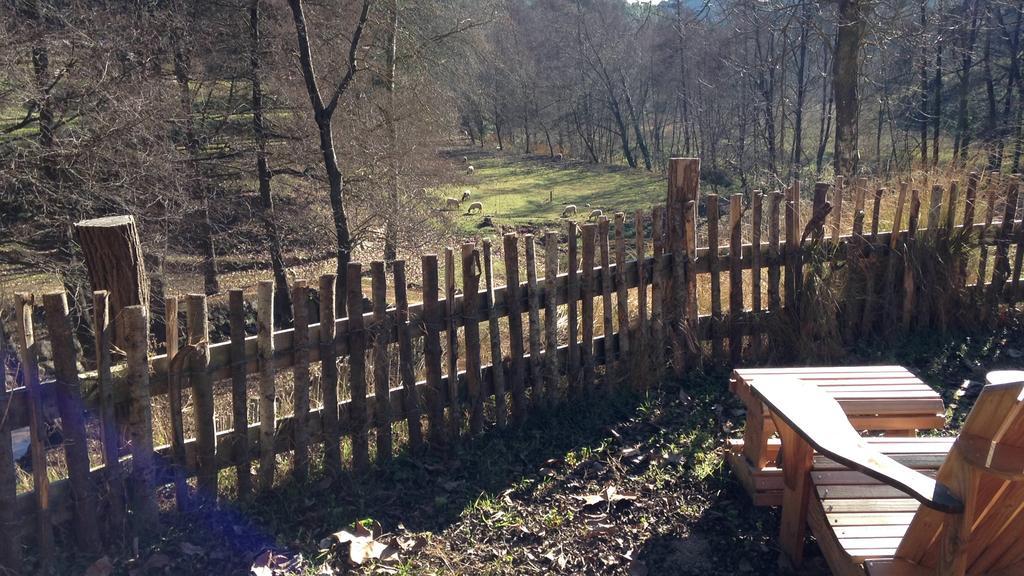 Masia El Moli De Can Aulet Arbucies Bagian luar foto