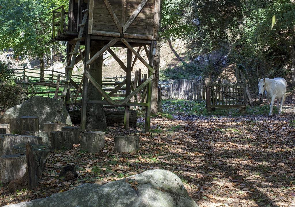 Masia El Moli De Can Aulet Arbucies Bagian luar foto